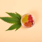 From Flavor to Effect The Ultimate Guide to THC Gummies