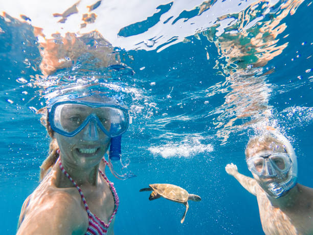 Essential Snorkeling Gear for an Amazing Underwater Experience