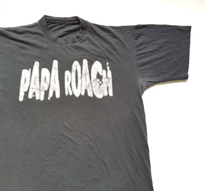 Exclusive Insights into Papa Roach's Official Store: A Fan's Paradise