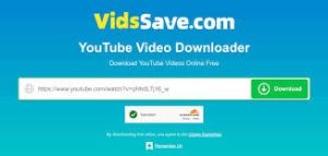 Download TikTok Videos the Clean Way