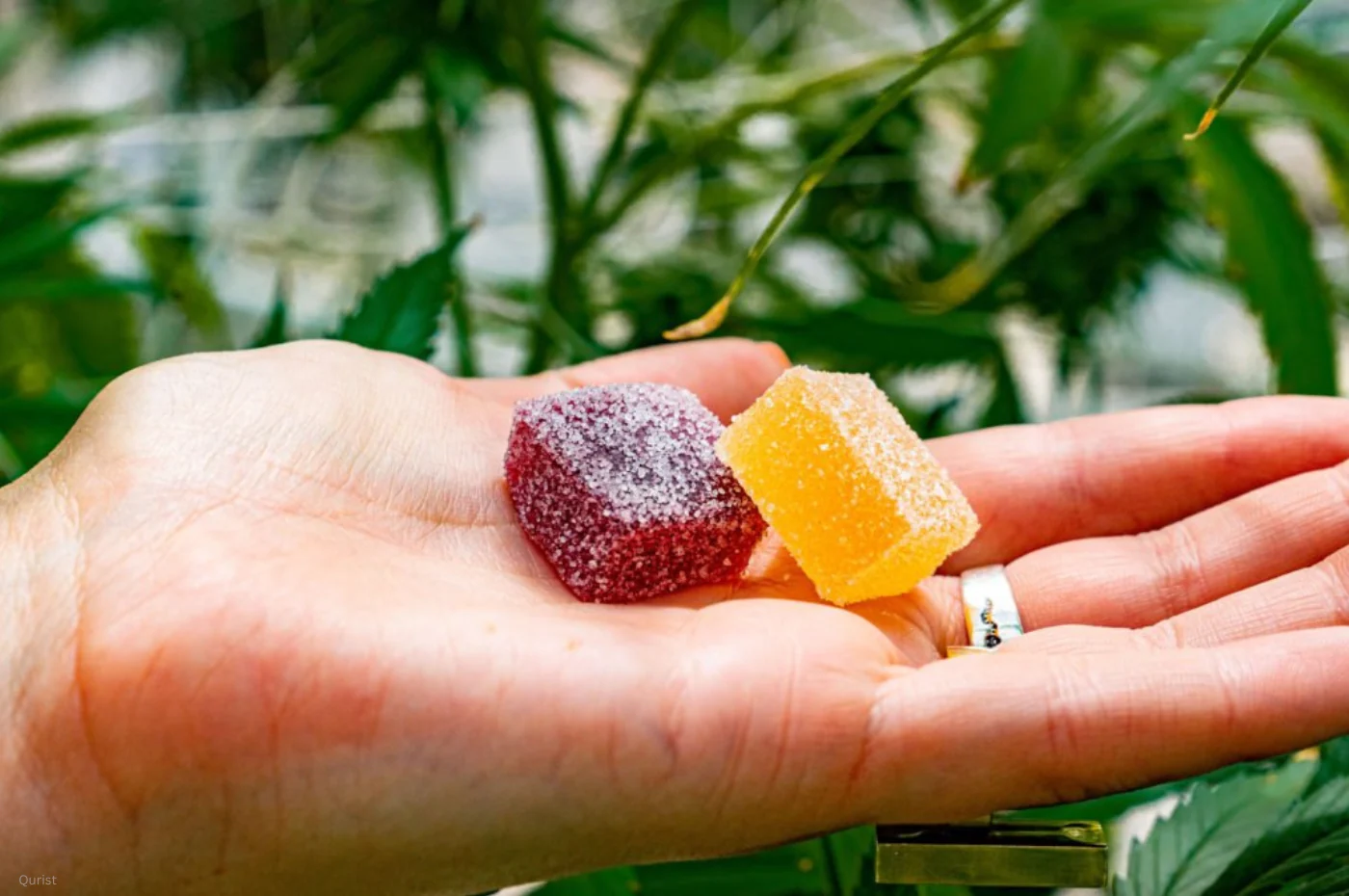 Explore the strongest sleep gummies for Maximum Nighttime Support